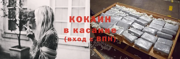 кокс Гусев