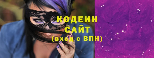 кокс Гусев