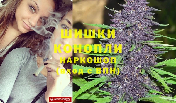 кокс Гусь-Хрустальный