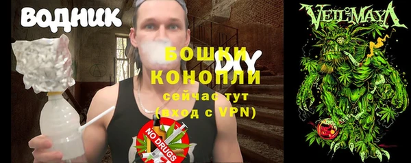 кокс Гусев