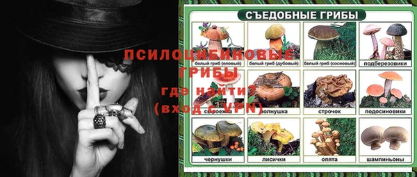 кокс Гусь-Хрустальный