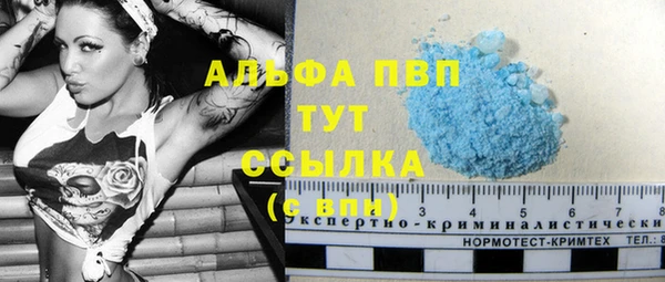 кокс Гусев