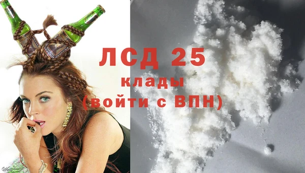 кокс Гусев