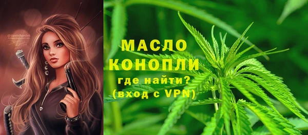 ECSTASY Горняк