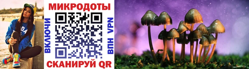 Купить  Лянтор  Псилоцибиновые грибы Psilocybine cubensis 